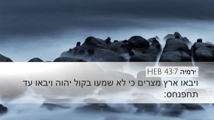ירמיה 43:7 HEB Bible Verse Image