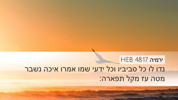 ירמיה 48:17 HEB Bible Verse Image