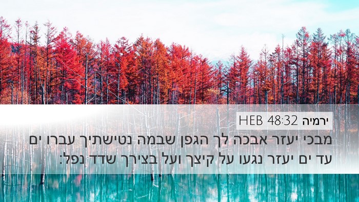 ירמיה 48:32 HEB Bible Verse Image