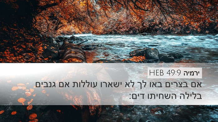 ירמיה 49:9 HEB Bible Verse Image