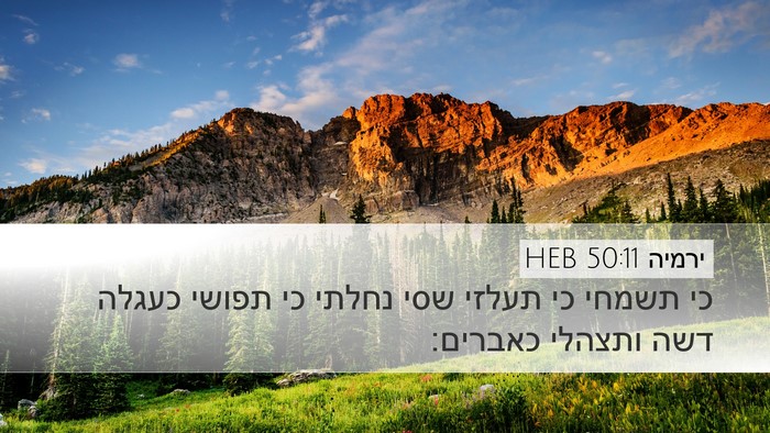 ירמיה 50:11 HEB Bible Verse Image