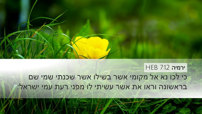 ירמיה 7:12 HEB Bible Verse Image
