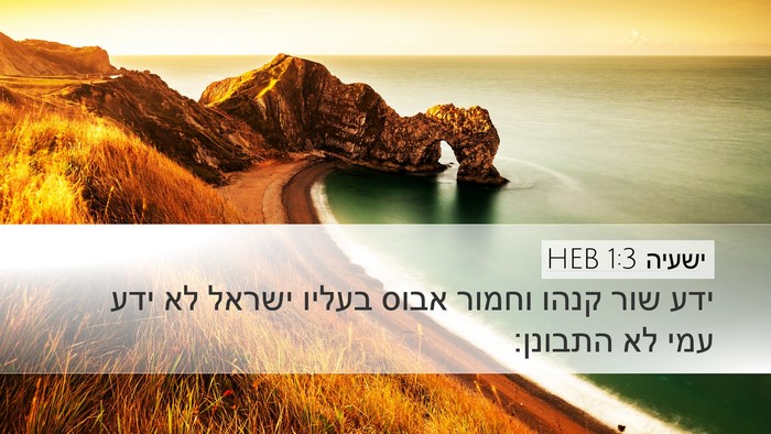 ישעיה 1:3 HEB Bible Verse Image
