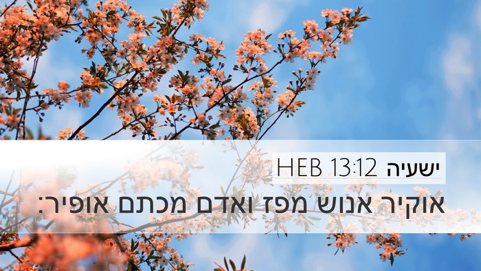 ישעיה 13:12 HEB Bible Verse Image