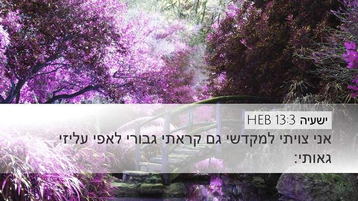 ישעיה 13:3 HEB Bible Verse Image