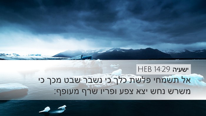 ישעיה 14:29 HEB Bible Verse Image