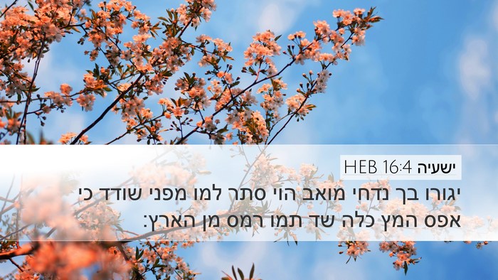 ישעיה 16:4 HEB Bible Verse Image