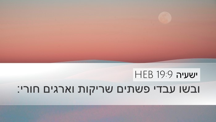 ישעיה 19:9 HEB Bible Verse Image