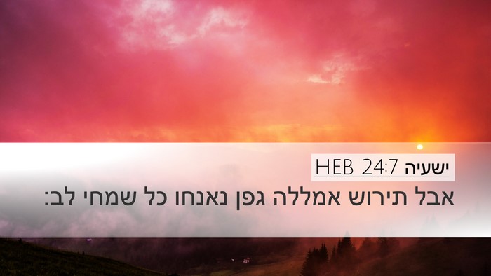 ישעיה 24:7 HEB Bible Verse Image