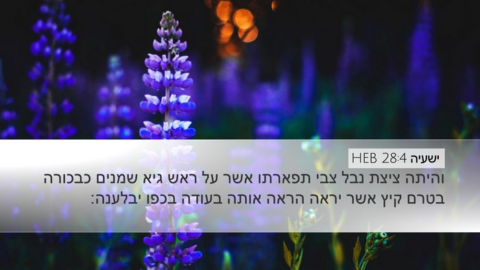 ישעיה 28:4 HEB Bible Verse Image