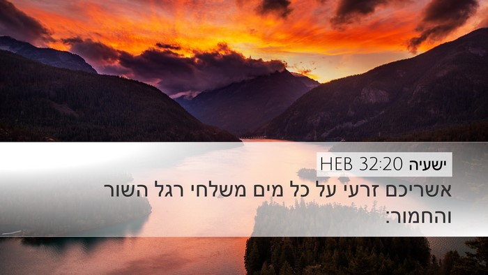 ישעיה 32:20 HEB Bible Verse Image