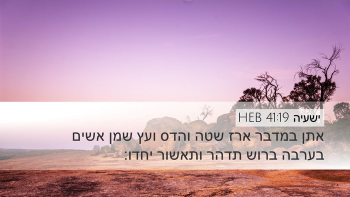 ישעיה 41:19 HEB Bible Verse Image
