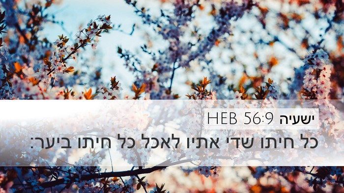 ישעיה 56:9 HEB Bible Verse Image