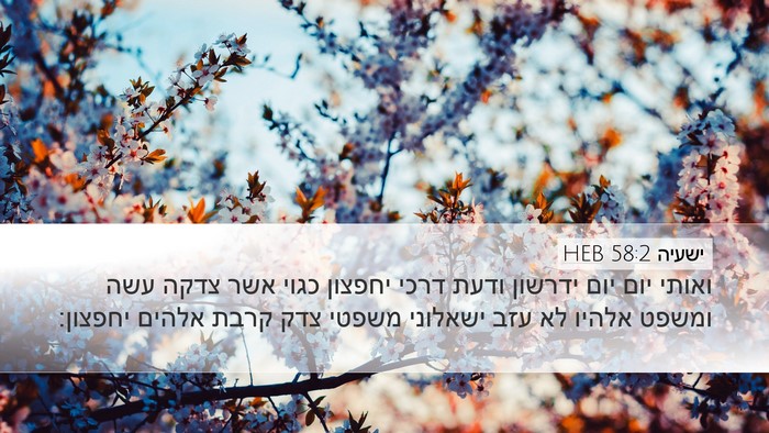 ישעיה 58:2 HEB Bible Verse Image