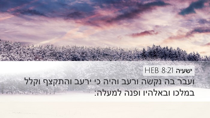 ישעיה 8:21 HEB Bible Verse Image