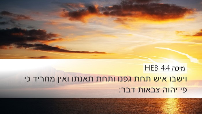 מיכה 4:4 HEB Bible Verse Image