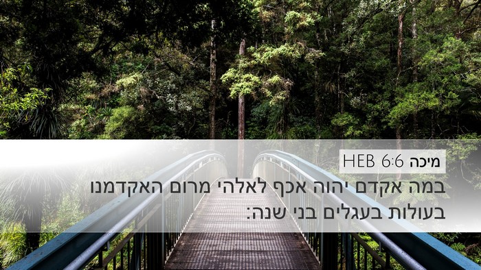 מיכה 6:6 HEB Bible Verse Image