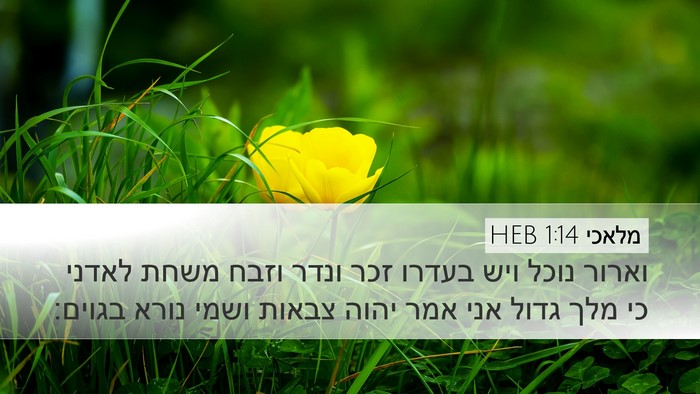 מלאכי 1:14 HEB Bible Verse Image