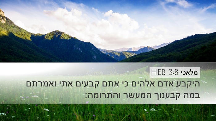 מלאכי 3:8 HEB Bible Verse Image