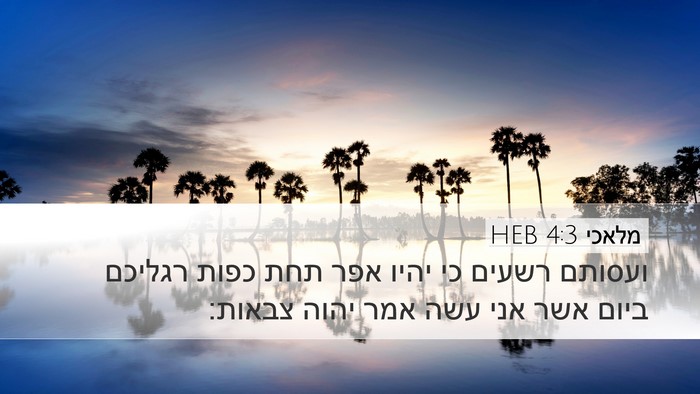 מלאכי 4:3 HEB Bible Verse Image