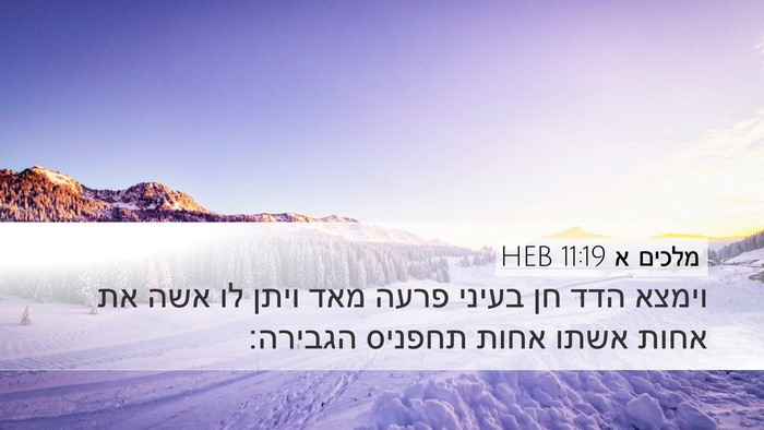 מלכים א 11:19 HEB Desktop Wallpaper - וימצא הדד חן בעיני פרעה מאד - Desktop Bible Verse Wallpaper