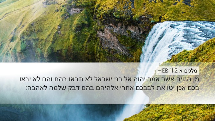 מלכים א 11:2 HEB Bible Verse Image