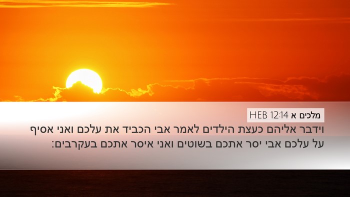 מלכים א 12:14 HEB Bible Verse Image
