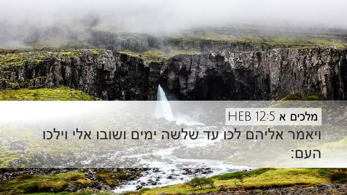 מלכים א 12:5 HEB Bible Verse Image