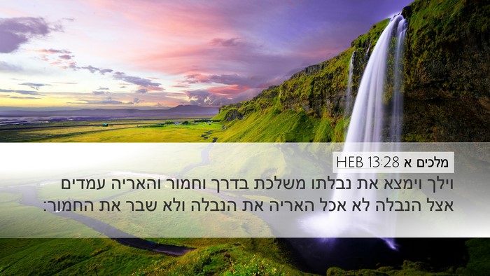 מלכים א 13:28 HEB Desktop Wallpaper - וילך וימצא את נבלתו משלכת - Desktop Bible Verse Wallpaper