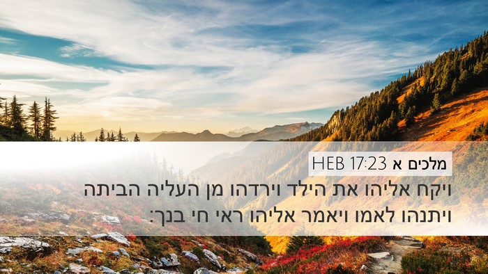 מלכים א 17:23 HEB Bible Verse Image