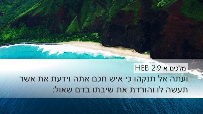 מלכים א 2:9 HEB Bible Verse Image