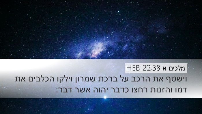 מלכים א 22:38 HEB Bible Verse Image