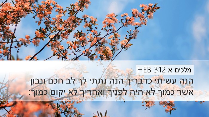 מלכים א 3:12 HEB Bible Verse Image
