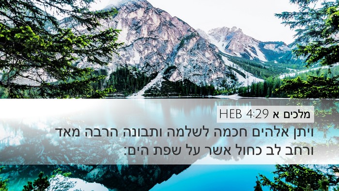 מלכים א 4:29 HEB Bible Verse Image