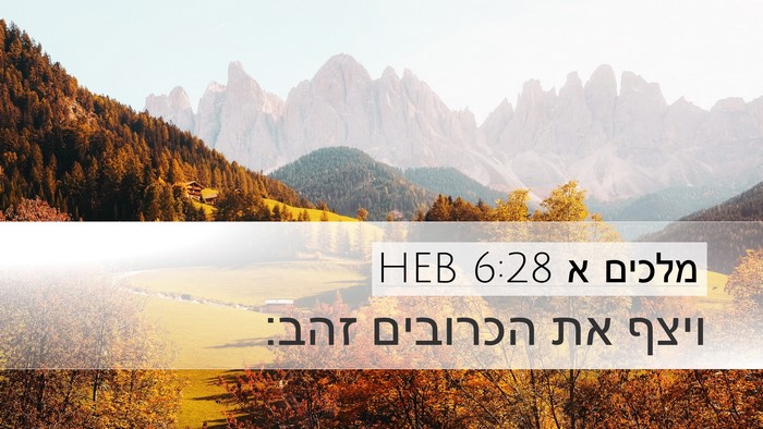 מלכים א 6:28 HEB Desktop Wallpaper - ויצף את הכרובים - Desktop Bible Verse Wallpaper