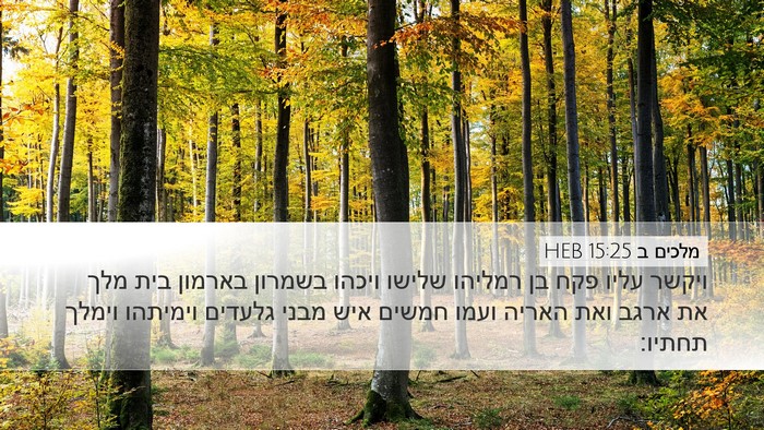 מלכים ב 15:25 HEB Bible Verse Image
