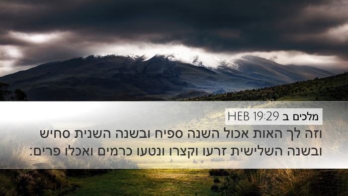 מלכים ב 19:29 HEB Bible Verse Image