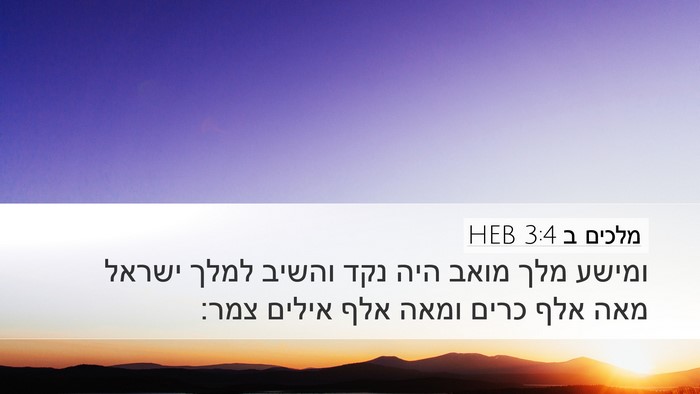 מלכים ב 3:4 HEB Bible Verse Image