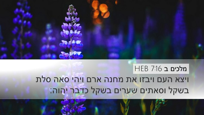 מלכים ב 7:16 HEB Bible Verse Image