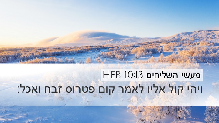 מעשי השליחים 10:13 HEB Bible Verse Image