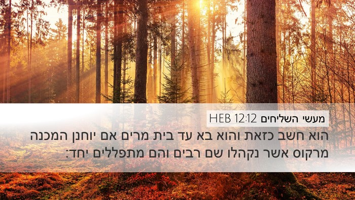 מעשי השליחים 12:12 HEB Bible Verse Image