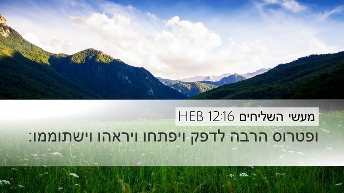 מעשי השליחים 12:16 HEB Bible Verse Image