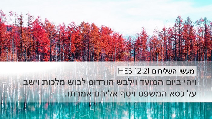 מעשי השליחים 12:21 HEB Desktop Wallpaper - ויהי ביום המועד וילבש - Desktop Bible Verse Wallpaper