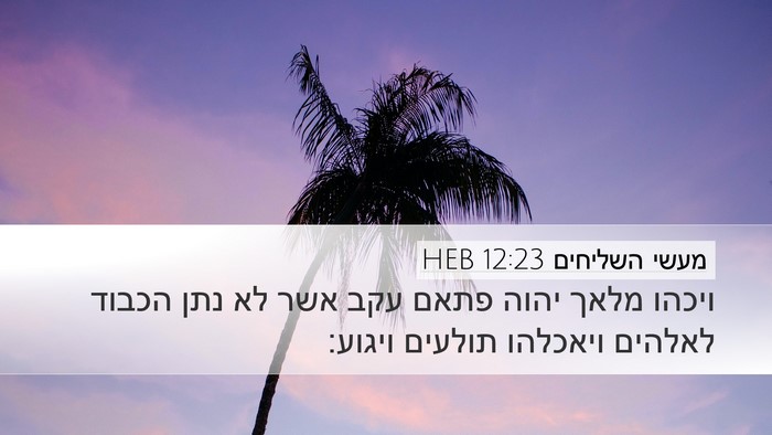 מעשי השליחים 12:23 HEB Bible Verse Image
