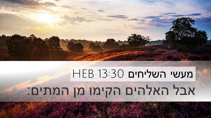 מעשי השליחים 13:30 HEB Bible Verse Image