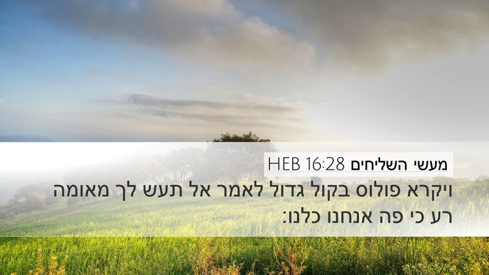 מעשי השליחים 16:28 HEB Desktop Wallpaper - ויקרא פולוס בקול גדול לאמר - Desktop Bible Verse Wallpaper