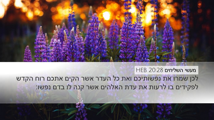 מעשי השליחים 20:28 HEB Bible Verse Image