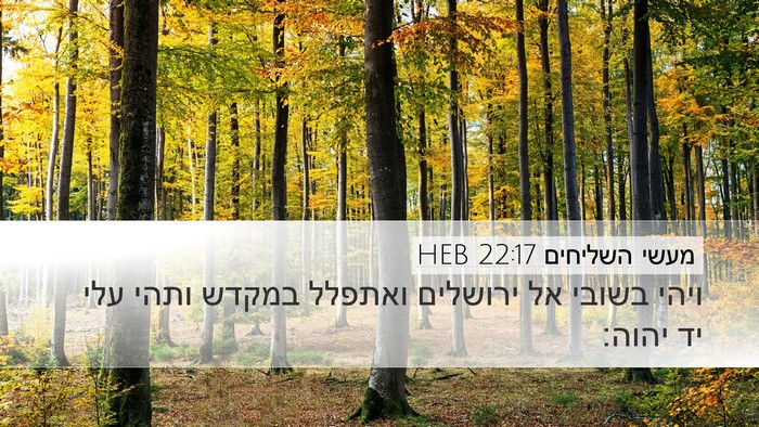 מעשי השליחים 22:17 HEB Bible Verse Image