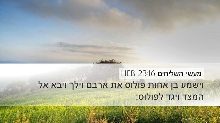 מעשי השליחים 23:16 HEB Bible Verse Image