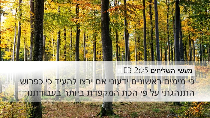 מעשי השליחים 26:5 HEB Bible Verse Image
